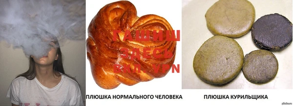 мдпв Осинники