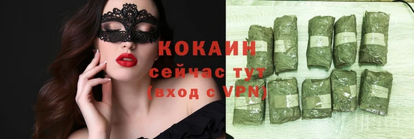мдпв Осинники