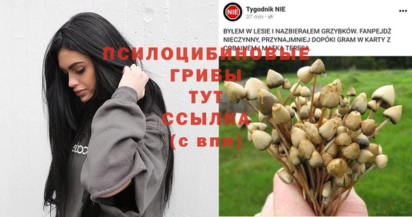 мдпв Осинники