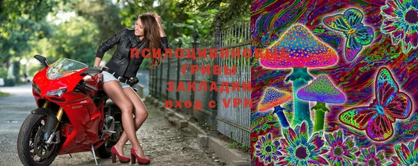 мдпв Осинники